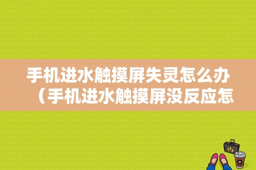 手机进水触摸屏失灵怎么办（手机进水触摸屏没反应怎么办）