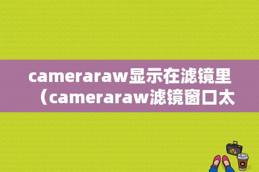 cameraraw显示在滤镜里（cameraraw滤镜窗口太大）