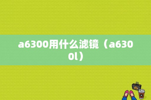 a6300用什么滤镜（a6300l）