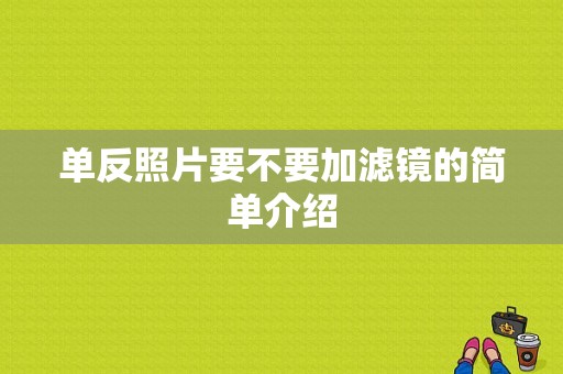 单反照片要不要加滤镜的简单介绍