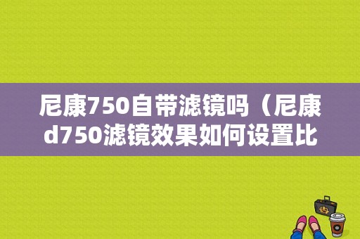 尼康750自带滤镜吗（尼康d750滤镜效果如何设置比较好）