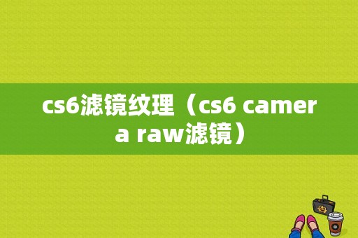 cs6滤镜纹理（cs6 camera raw滤镜）