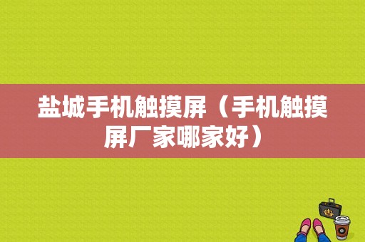 盐城手机触摸屏（手机触摸屏厂家哪家好）