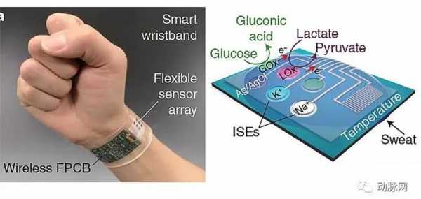 最新可穿戴传感器（最新可穿戴传感器技术）