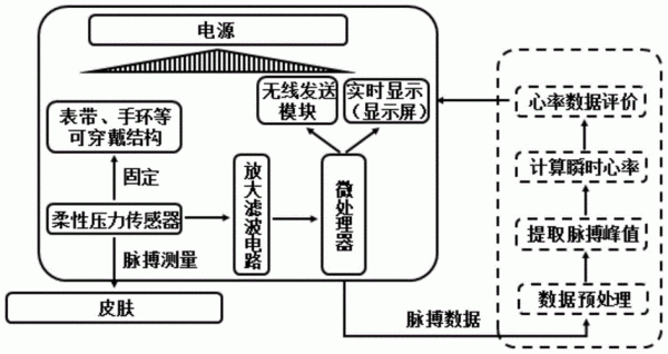 心率传感器工作原理（心率传感器工作原理是什么）