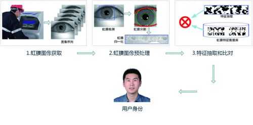 虹膜识别传感器（虹膜识别传感器工作原理）