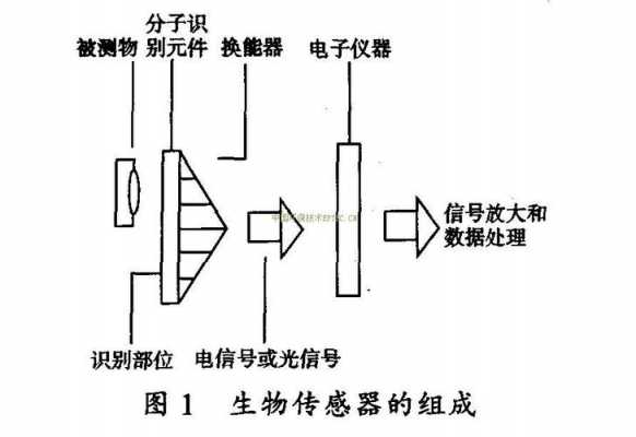 生物传感器图片（生物传感器原理图）