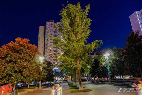 卡片机拍夜景太模糊（卡片机拍风景）