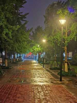 雨后街道夜景（雨后夜景图片）