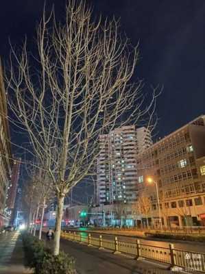 夜景怎么设置（手机拍灯光夜景怎么设置）