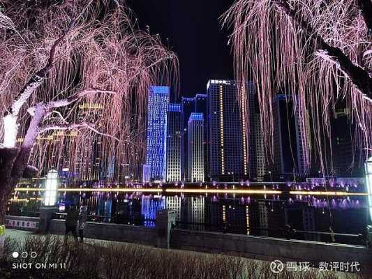 相机拍摄夜景所用滤镜（相机拍摄夜景所用滤镜是什么）