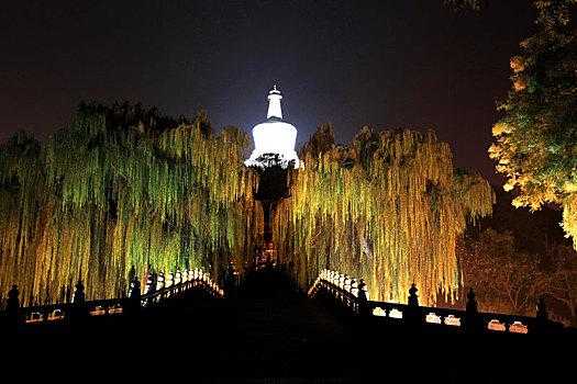 北京北海公园夜景（北海公园夜景灯开放时间）