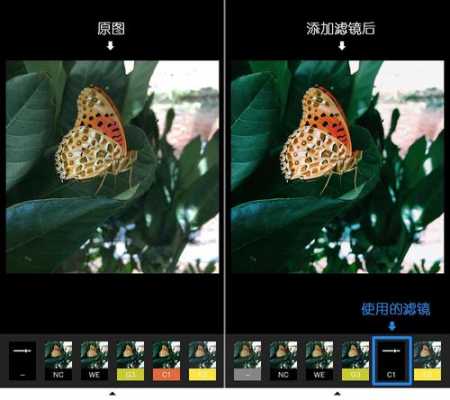 照片滤镜有什么用处（照片滤镜有什么作用）