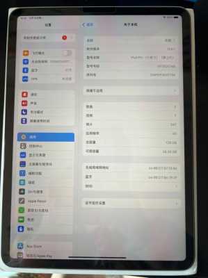 ipadpro触摸屏没反应（ipad pro触屏没反应）