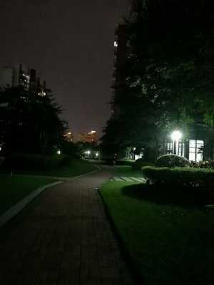 夜景模式是什么意思（夜景模式的作用）