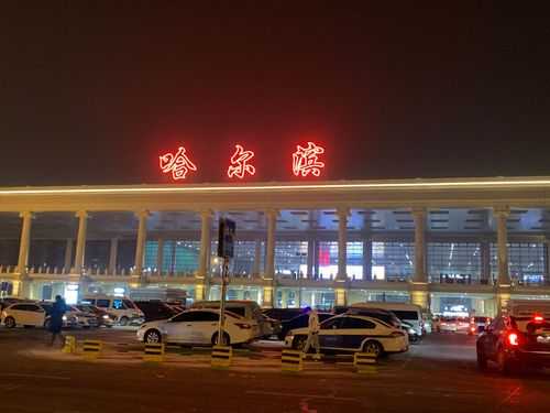 哈尔滨飞机场夜景照片（哈尔滨飞机场夜景照片真实）