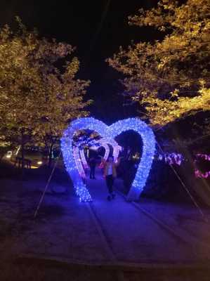 拍夜景把背景拍成蓝色（拍夜景背影怎么拍）