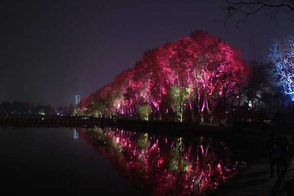 冬天南京夜景摄影蜂鸟（南京冬季拍照圣地）