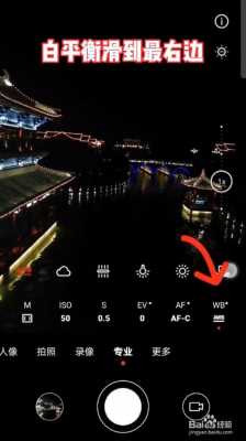 手机相机如何调专业拍夜景（vivo手机专业相机怎么调）