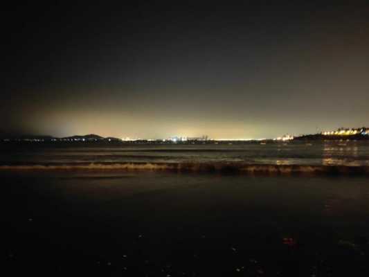 海边夜景无声视频（海边夜景无声视频高清）