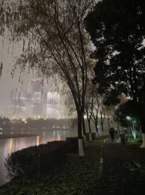 初秋雨后的夜景（初秋雨后的夜景描写）