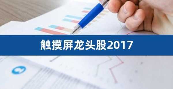 2017触摸屏行业龙头（国内触摸屏龙头企业）