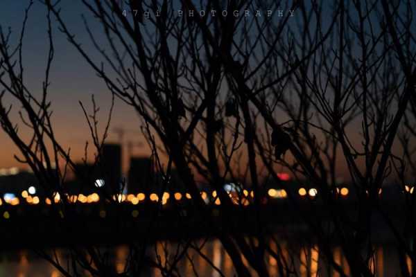 索尼a7夜景拍摄（索尼a7m3夜景）