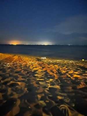 海边夜景照片（海边夜景照片真实）