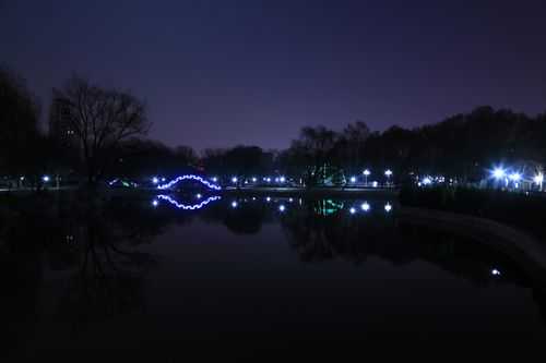 拍夜景iso一般多少（相机拍夜景iso）