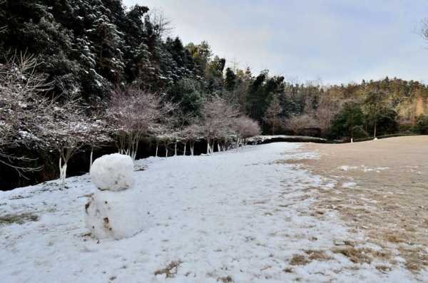 尼康d7000拍雪用滤镜吗（尼康d7000拍风景）